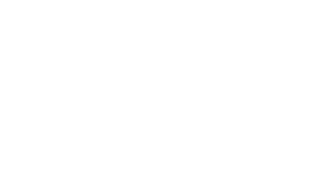 MOTION_GRAPHICS-1